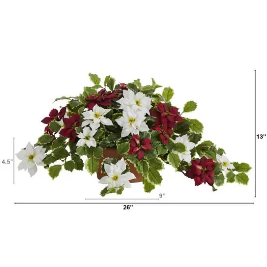 13" Poinsettia & Variegated Holly Plant in Terracotta Planter {3}