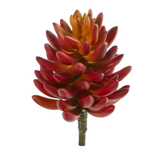 7.5'' Succulent Pick, 6ct. {1}