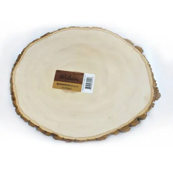 Wilson&reg; Enterprises 10 Pack X-Large Basswood Plaque {4}