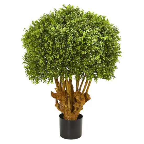 3ft. Potted Boxwood Topiary Tree  {1}