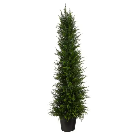 3.5ft. Potted Cypress Tree {1}