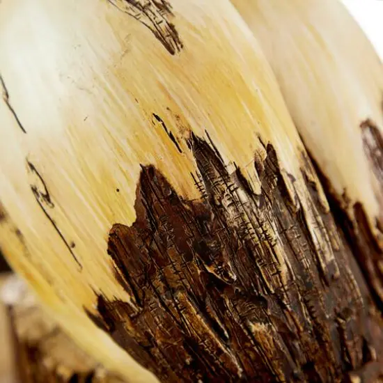 Cream Polystone Coastal Sculpture, Bird 18" x 7" x 7" {8}