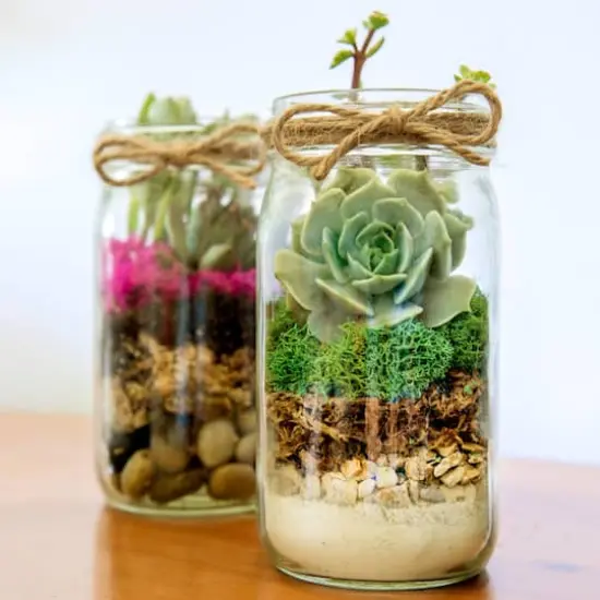 SuperMoss&reg; Preserved Reindeer Moss, Forest {3}