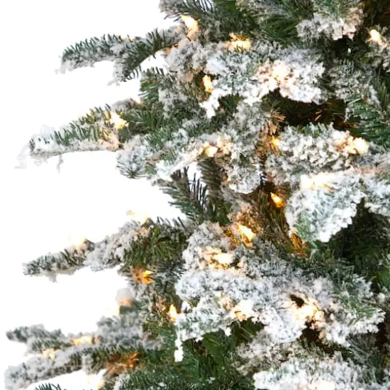 8ft. Pre-Lit Flocked North Carolina Fir Artificial Christmas Tree with Warm White LED Lights {4}
