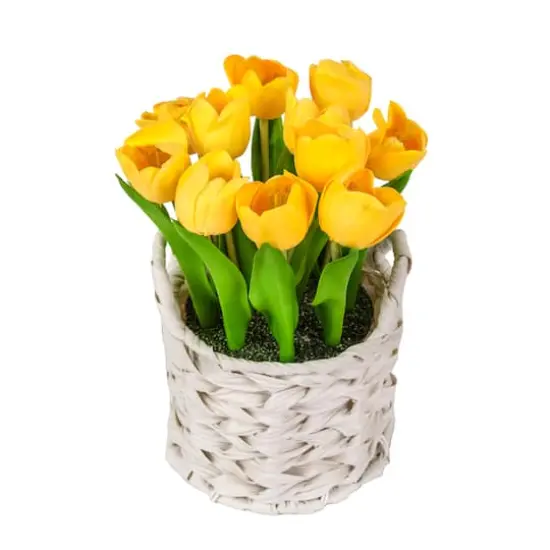 10" Tulip Bouquet in White Basket Bright Yellow {6}