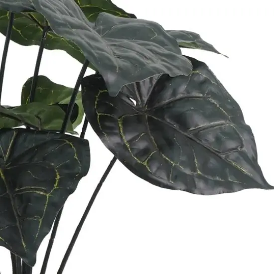 15.5" Potted Anthurium Clarinervium by Ashland&reg; {3}