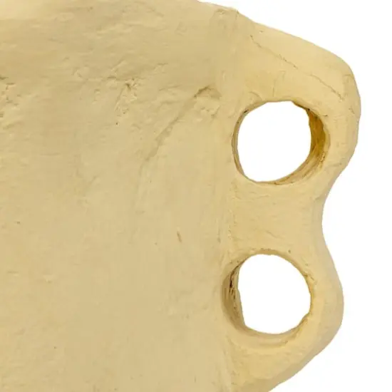 Hello Honey&reg; 11" Natural Decorative Handmade Paper Mache Planter with Handles {5}