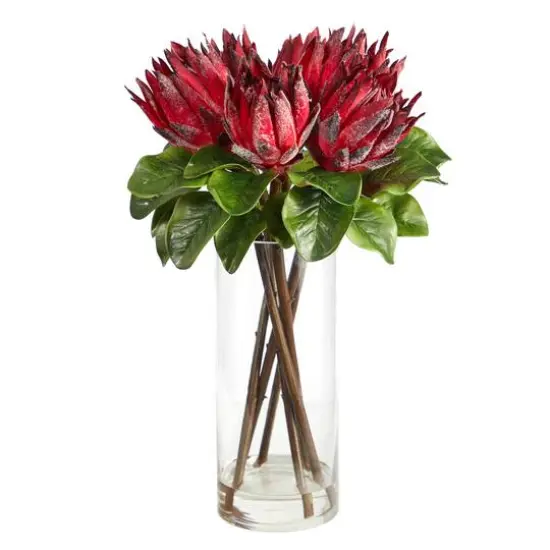 22" King Protea Floral Arrangement in Glass Vase {1}