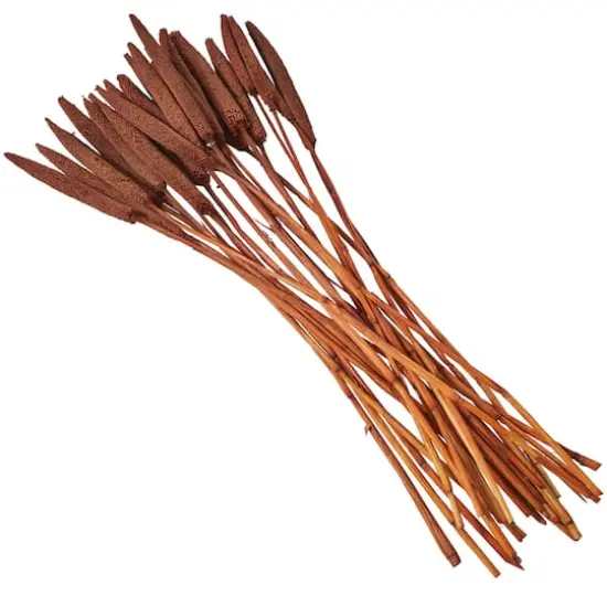 Dried Plant Bunny Tail Natural Foliage with Long Stems Dark Brown {4}