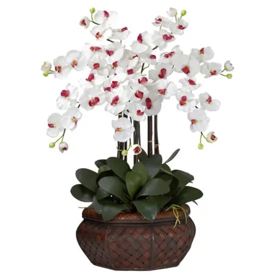 2.5ft. Moth Orchid Silk Flower Arrangement in Woven Planter White {1}