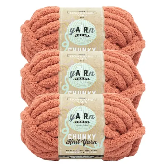 3 Pack Lion Brand&reg; Yarn Workshop Chunky Knit Yarn Squash {1}