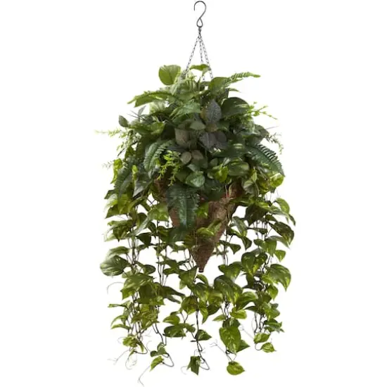 3ft. Mixed Green Vines in Cone Hanging Basket {1}