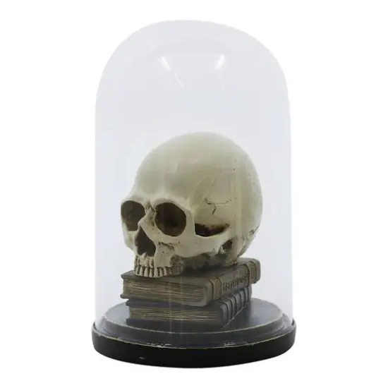 9.5" Skull on Books Cloche Tabletop D&eacute;cor by Ashland&reg; {5}