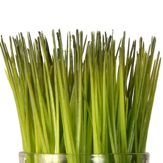 3-Piece Round Sprout-Filled Glass Assortment {4}