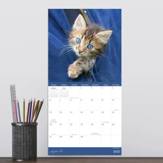 TF Publishing 2025 Kittens Mini Calendar {4}