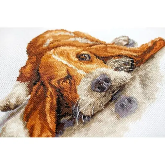 Luca-s Basset Counted Cross Stitch Kit {3}