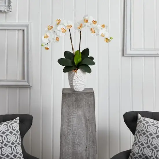 23" White Double Stem Orchid Arrangement in White Textured Vase {3}