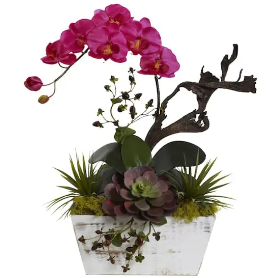 21" Beauty Orchid & Succulent Garden with Whitewashed Planter {1}