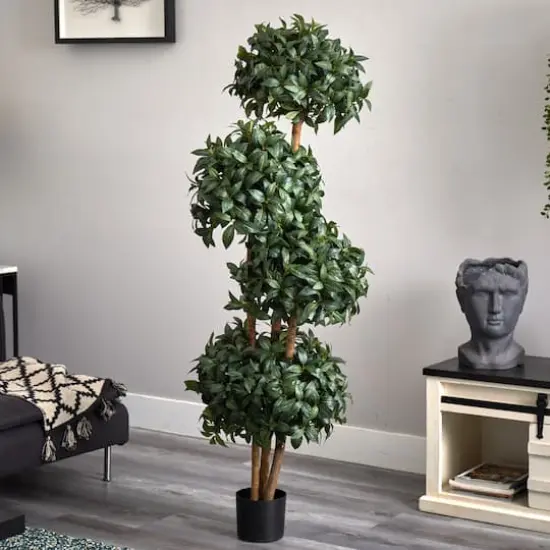 5.5ft. Potted Sweet Bay Quad Ball Topiary Tree {3}