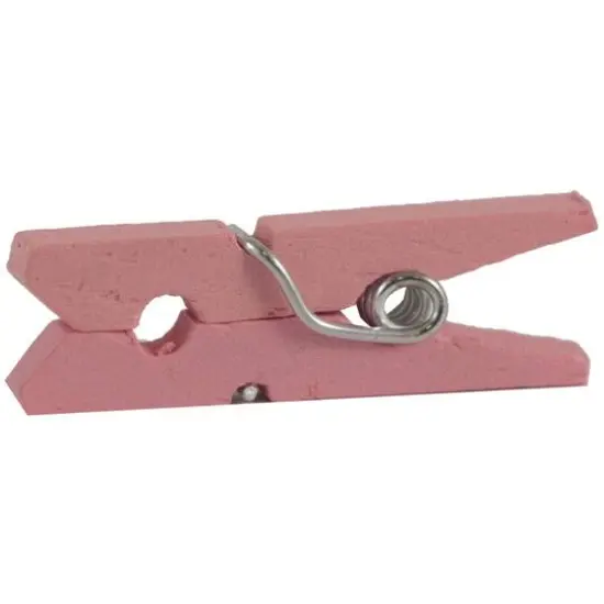 JAM Paper 7/8" Wood Clothespins, 100ct. Pink {5}