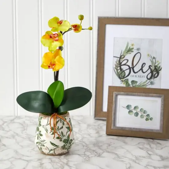 18" Mini Moth Orchid in Floral Vase {4}