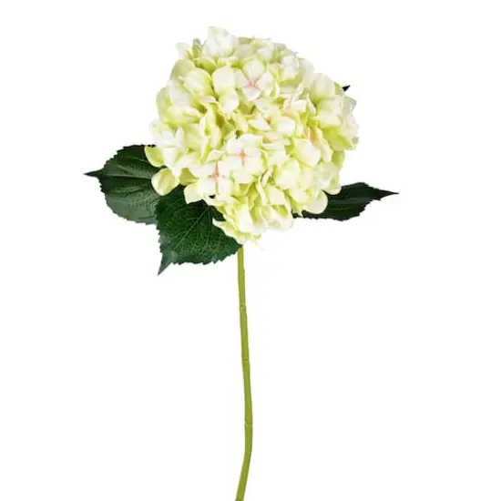 2 Pack: Light Green Hydrangea Spray {1}