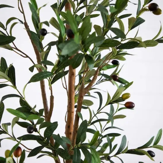 7ft. Olive Tree with Natural Trunk in Handmade Jute Basket {4}