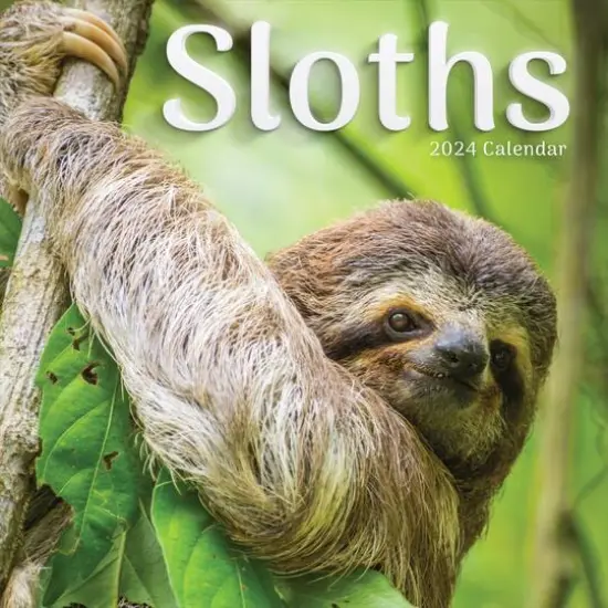 TF Publishing 2024 Sloths Wall Calendar {1}