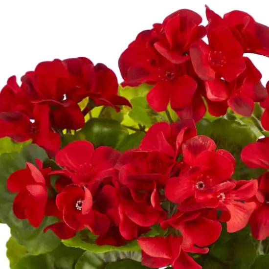 11'' Red Geranium in Ceramic Planter {5}
