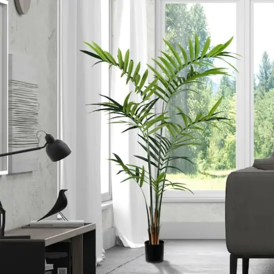 7ft. Potted Kentia Palm {3}