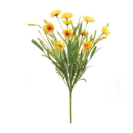 Yellow Mixed Daisy Bush, 6ct. {3}