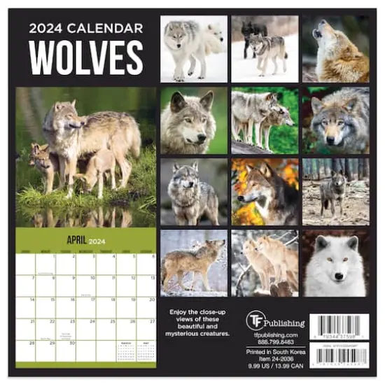 TF Publishing 2024 Wolves Mini Calendar {3}