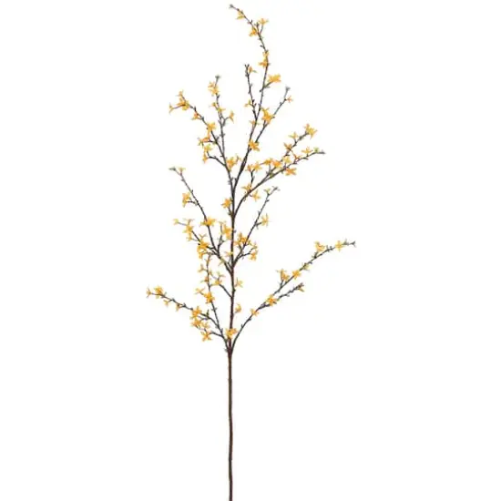 Yellow Forsythia Spray {1}