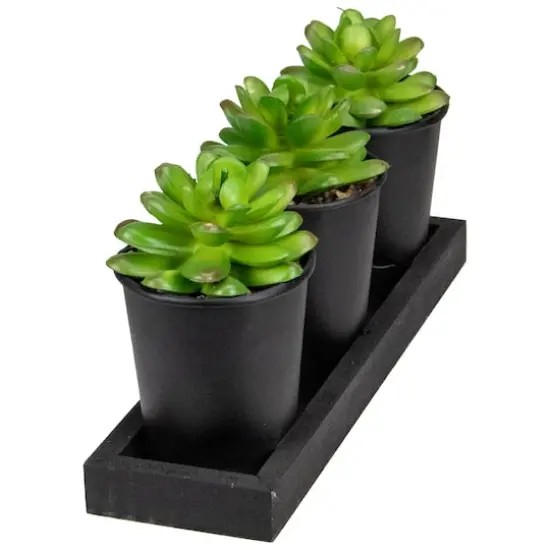 10" Potted Succulents with Wood Planter Set {4}