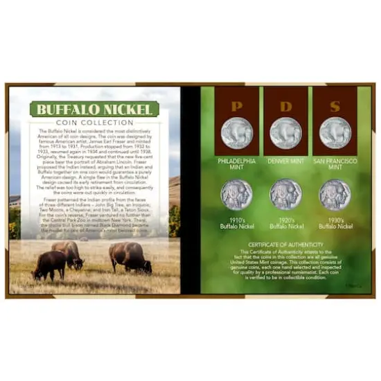 Buffalo Nickel Coin Set {1}