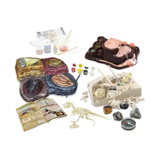 Wild Environmental Science - Wonders of the Earth {8}