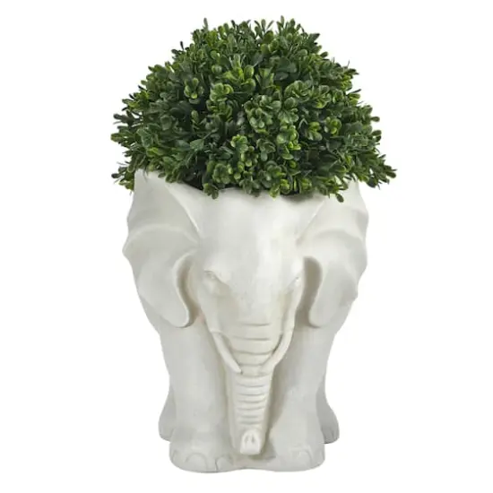16" Boxwood Topiary Plant in Elephant Shaped Planter {1}