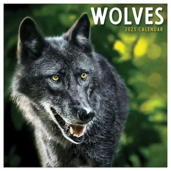 TF Publishing 2025 Wolves Mini Calendar {1}