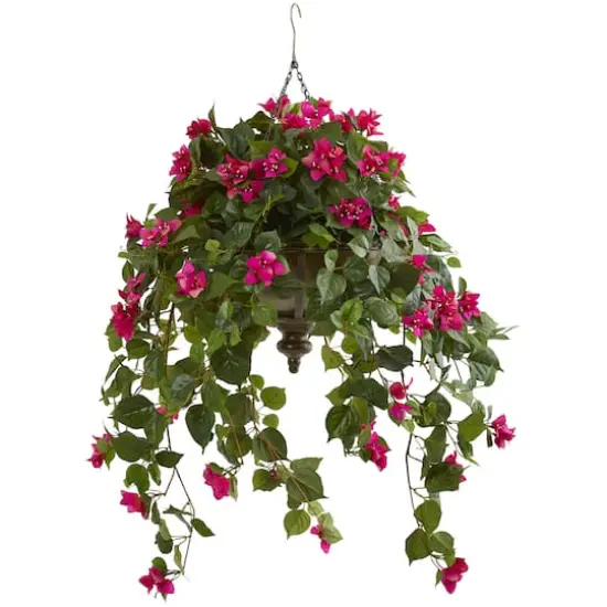 3ft. Pink Bougainvillea in Hanging Metal Bowl {1}
