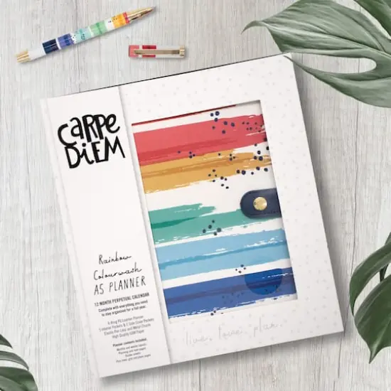Carpe Diem A5 Color Wash Planner {8}