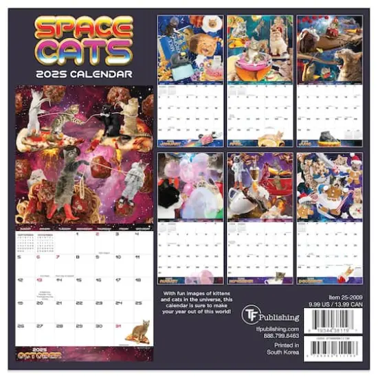 TF Publishing 2025 Space Cats Mini Calendar {3}