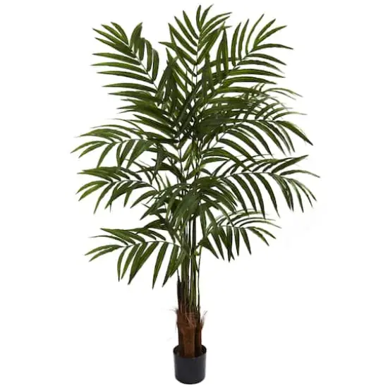 5ft. Potted Green Big Palm Tree {1}