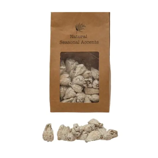 Hello Honey&reg; 12oz. Dried Hala Fruit in Kraft Bag {1}