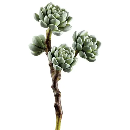 Light Green Hen & Chicks Pick {1}