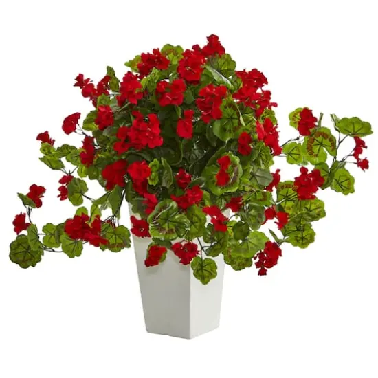 27" Geranium Plant in White Tower Planter {1}