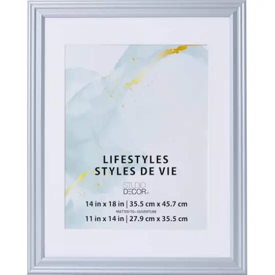 Lifestyles Silver Frame with Mat by Studio D&eacute;cor&reg; {1}