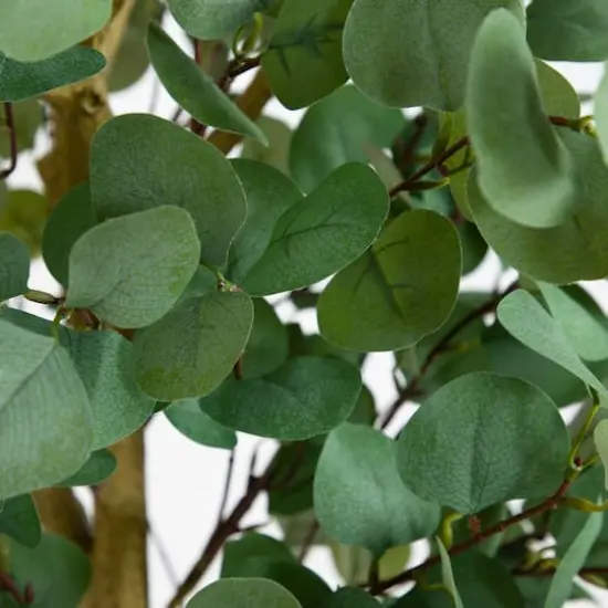 9ft. Potted Green Artificial Eucalyptus Tree {4}