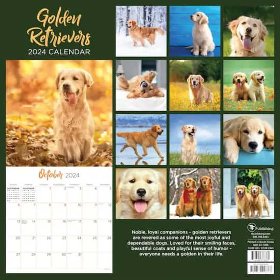 TF Publishing 2024 Golden Retrievers Wall Calendar {3}