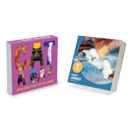 2026 Cat A Day Daily Desktop Calendar {1}