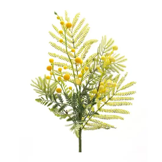21.5" Yellow Mimosa Leaf Berry Sprays, 6ct. {4}